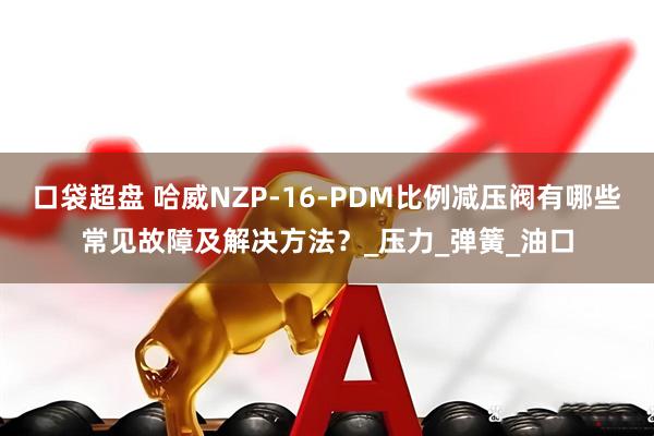 口袋超盘 哈威NZP-16-PDM比例减压阀有哪些常见故障及解决方法？_压力_弹簧_油口
