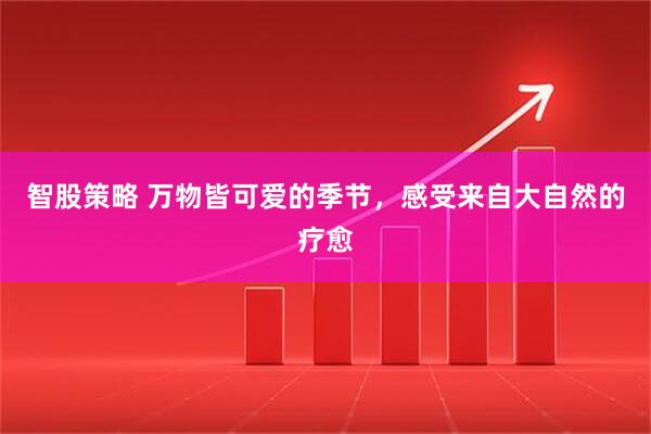 智股策略 万物皆可爱的季节，感受来自大自然的疗愈